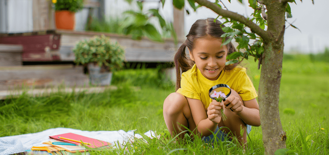 Child uses magnifying glass to examine pink flowers in grass.
